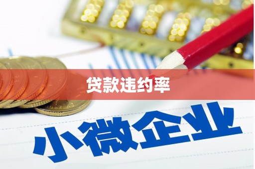 思茅贷款违约率