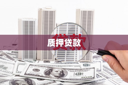 思茅质押贷款