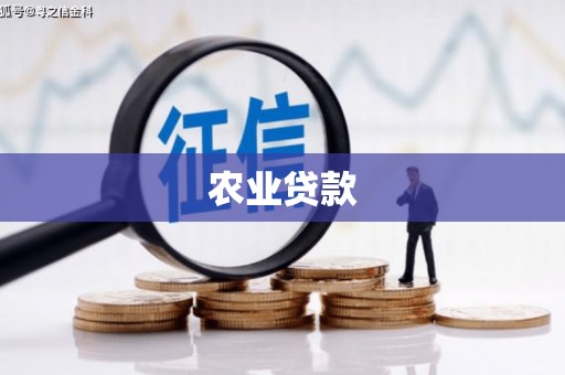 思茅农业贷款