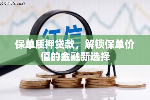 思茅保单质押贷款，解锁保单价值的金融新选择