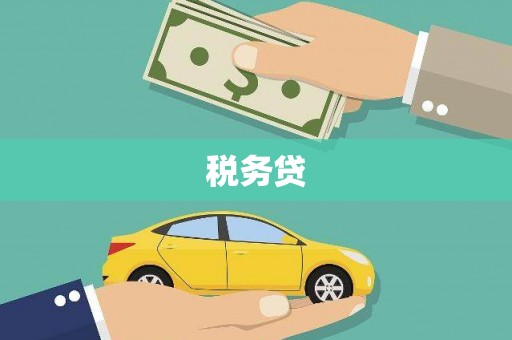 思茅税务贷