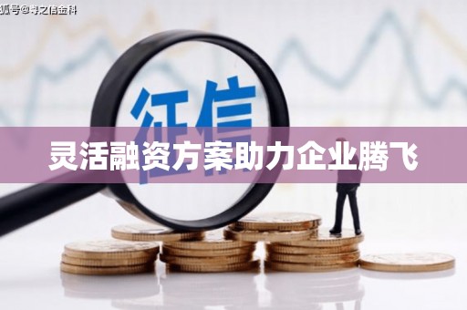 思茅灵活融资方案助力企业腾飞