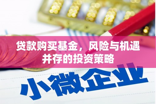 思茅贷款购买基金，风险与机遇并存的投资策略