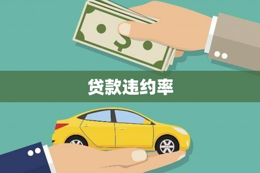 思茅贷款违约率
