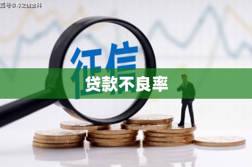 思茅贷款不良率
