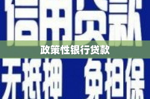 思茅政策性银行贷款