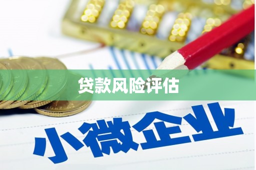 思茅贷款风险评估
