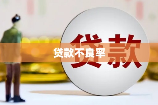 思茅贷款不良率