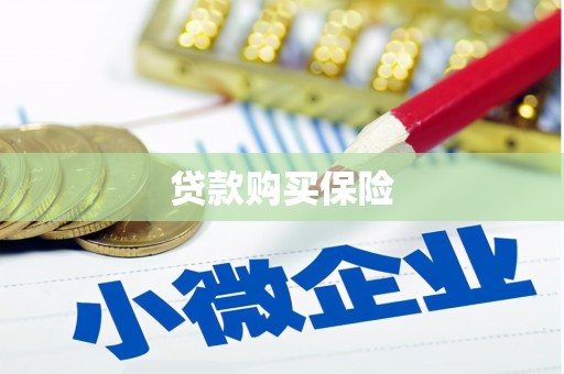 思茅贷款购买保险