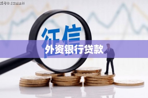 思茅外资银行贷款