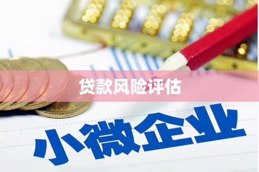 思茅贷款风险评估