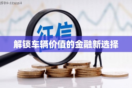 思茅解锁车辆价值的金融新选择