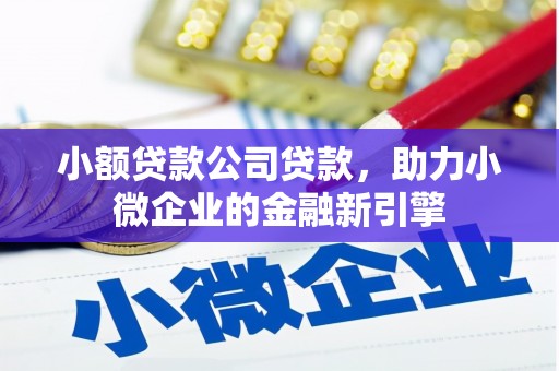 思茅小额贷款公司贷款，助力小微企业的金融新引擎