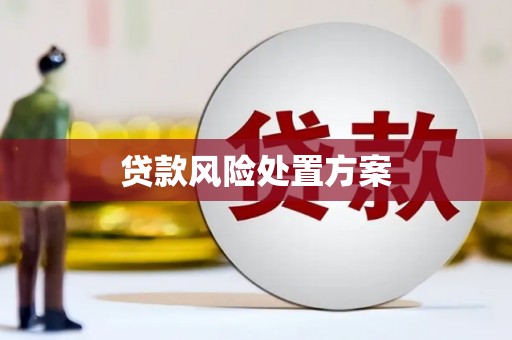 思茅贷款风险处置方案