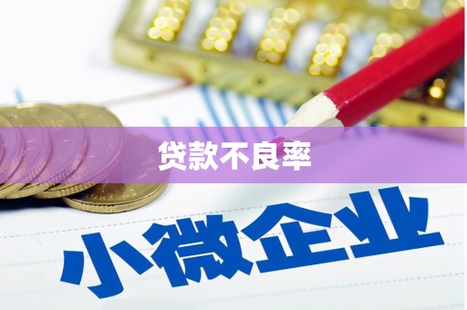 思茅贷款不良率