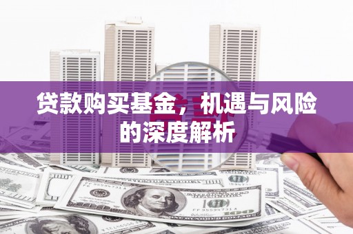 思茅贷款购买基金，机遇与风险的深度解析