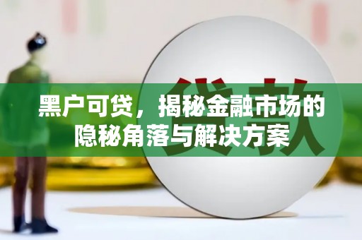思茅黑户可贷，揭秘金融市场的隐秘角落与解决方案
