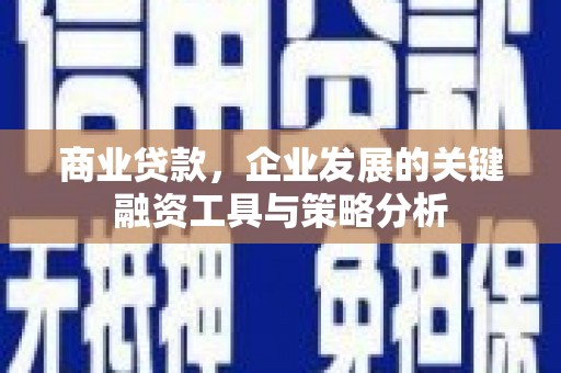 思茅商业贷款，企业发展的关键融资工具与策略分析