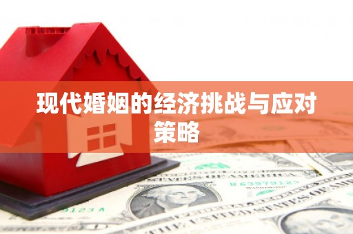 思茅现代婚姻的经济挑战与应对策略