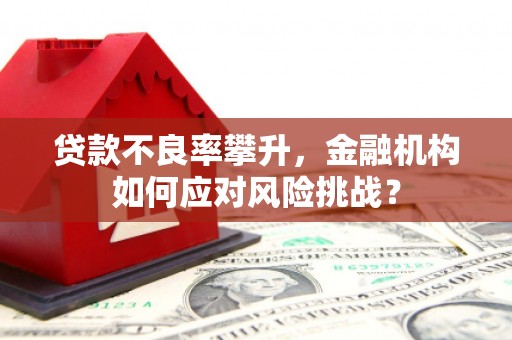 思茅贷款不良率攀升，金融机构如何应对风险挑战？