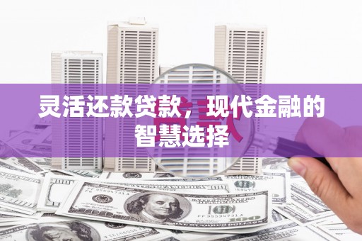 思茅灵活还款贷款，现代金融的智慧选择