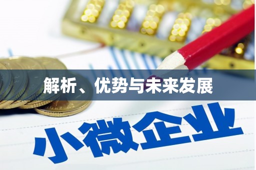 思茅解析、优势与未来发展