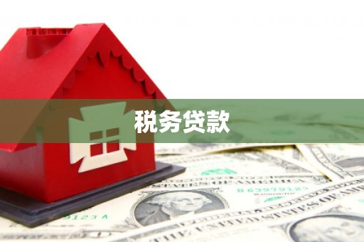 思茅税务贷款