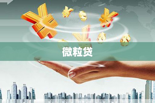思茅微粒贷
