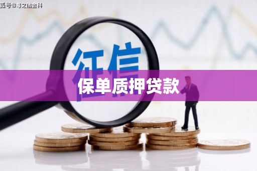 思茅保单质押贷款