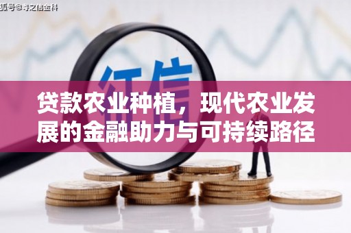 思茅贷款农业种植，现代农业发展的金融助力与可持续路径