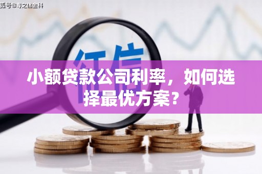 思茅小额贷款公司利率，如何选择最优方案？