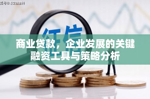 思茅商业贷款，企业发展的关键融资工具与策略分析