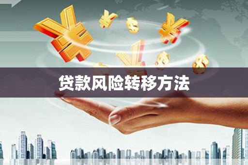 思茅贷款风险转移方法