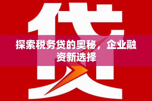 思茅探索税务贷的奥秘，企业融资新选择