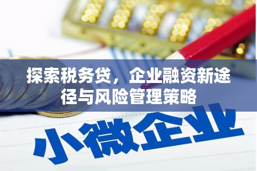思茅探索税务贷，企业融资新途径与风险管理策略