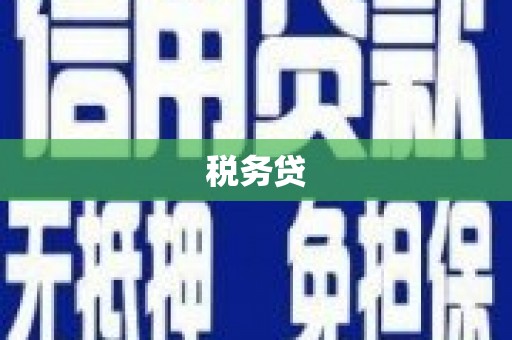 思茅税务贷
