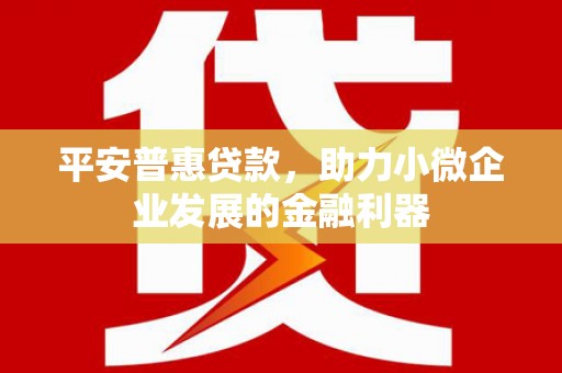思茅平安普惠贷款，助力小微企业发展的金融利器