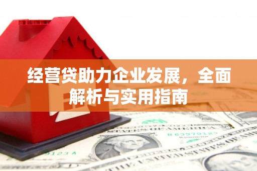 思茅经营贷助力企业发展，全面解析与实用指南