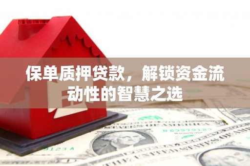 思茅保单质押贷款，解锁资金流动性的智慧之选