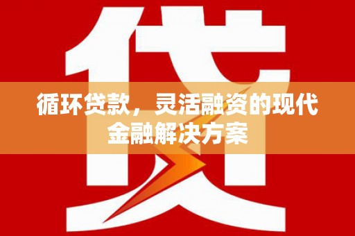 思茅循环贷款，灵活融资的现代金融解决方案