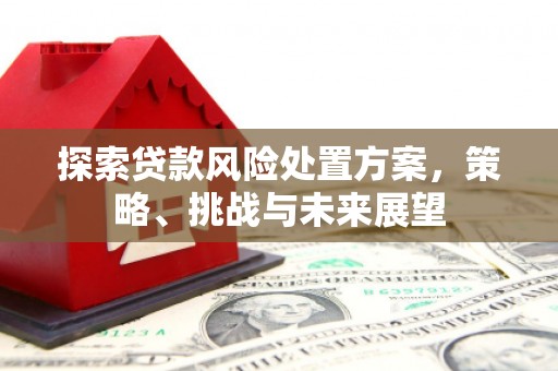 思茅探索贷款风险处置方案，策略、挑战与未来展望