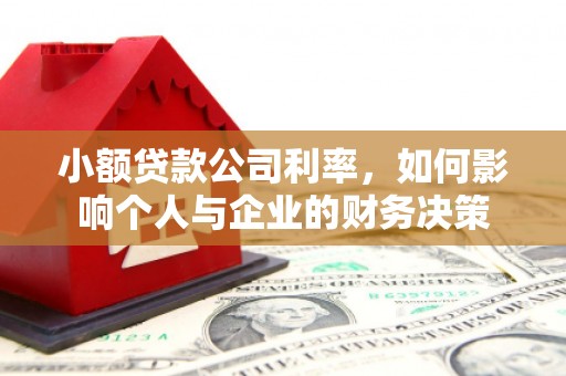 思茅小额贷款公司利率，如何影响个人与企业的财务决策