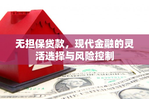 思茅无担保贷款，现代金融的灵活选择与风险控制