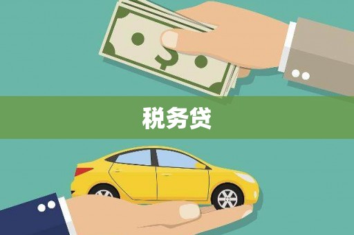 思茅税务贷
