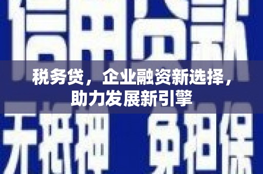 思茅税务贷，企业融资新选择，助力发展新引擎