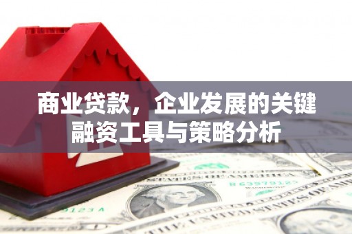 思茅商业贷款，企业发展的关键融资工具与策略分析