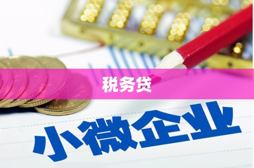 思茅税务贷