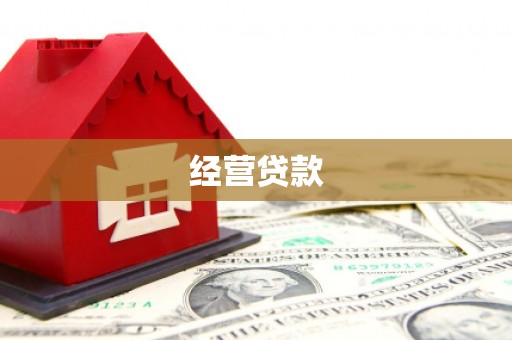 思茅经营贷款