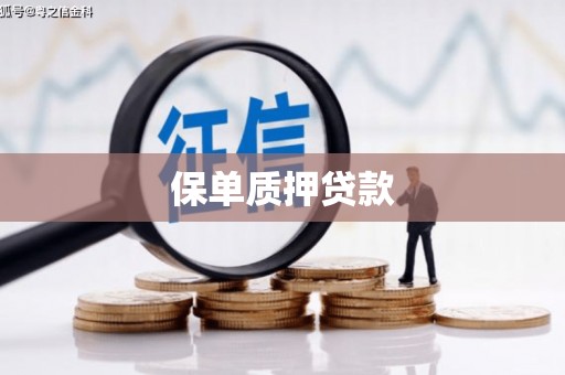 思茅保单质押贷款
