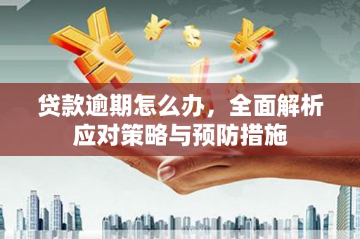 思茅贷款逾期怎么办，全面解析应对策略与预防措施